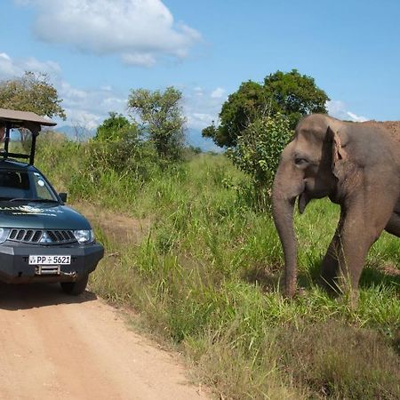 Mahoora Udawalawe - By Eco Team Hotel Eksteriør billede