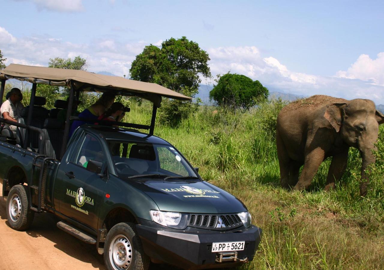 Mahoora Udawalawe - By Eco Team Hotel Eksteriør billede