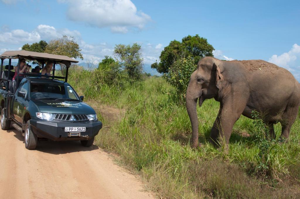 Mahoora Udawalawe - By Eco Team Hotel Eksteriør billede