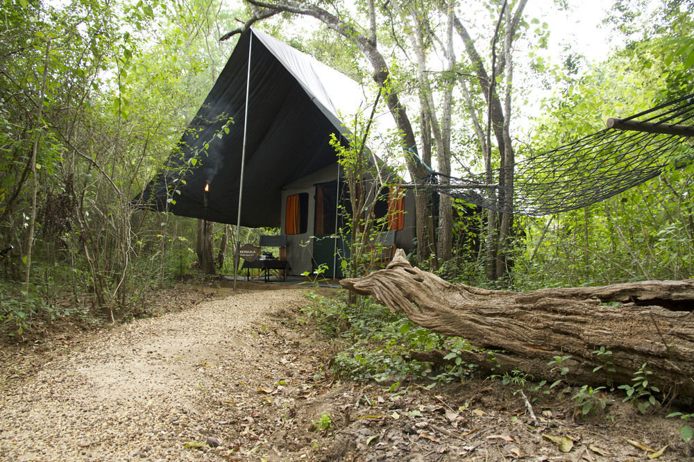 Mahoora Udawalawe - By Eco Team Hotel Eksteriør billede