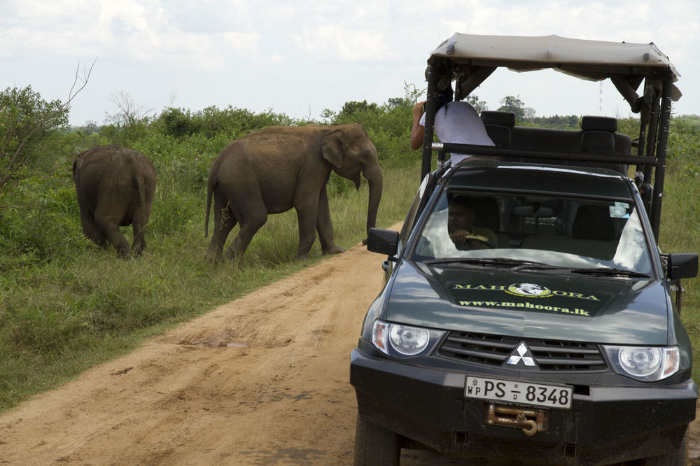 Mahoora Udawalawe - By Eco Team Hotel Eksteriør billede
