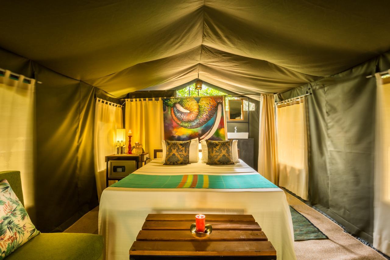Mahoora Udawalawe - By Eco Team Hotel Eksteriør billede